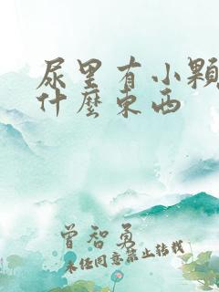 尿里有小颗粒是什么东西