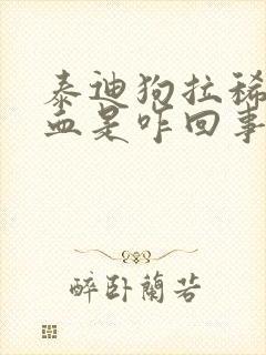 泰迪狗拉稀并带血是咋回事