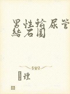 男性输尿管下段结石图