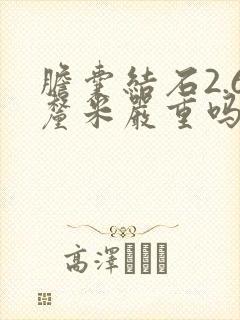 胆囊结石2.6厘米严重吗