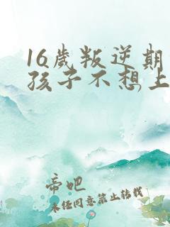 16岁叛逆期的孩子不想上学怎么办