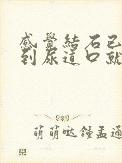 感觉结石已经排到尿道口就是出不来