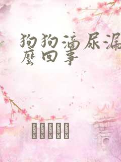 狗狗滴尿漏尿怎么回事