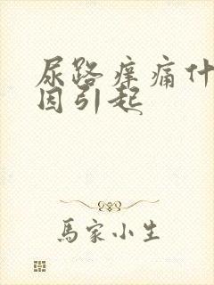 尿路痒痛什么原因引起