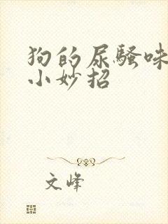 狗的尿骚味去除小妙招