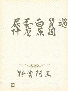 尿蛋白质过高是什么原因