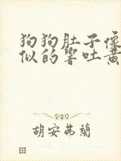 狗狗肚子像拉稀似的响吐黄水