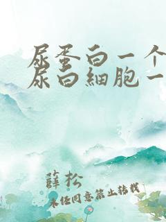 尿蛋白一个加号尿白细胞一个加号