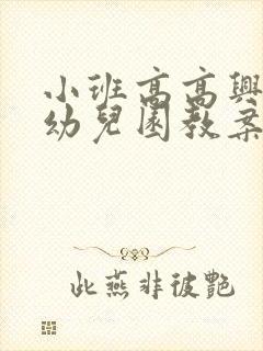 小班高高兴兴上幼儿园教案