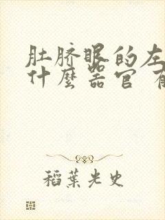 肚脐眼的左边是什么器官 有隐隐的疼