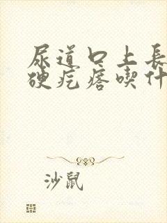 尿道口上长了个硬疙瘩吃什么好