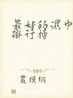 最好的湿巾品牌排行榜