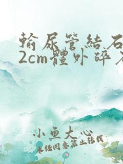 输尿管结石1.2cm体外碎石得多少钱