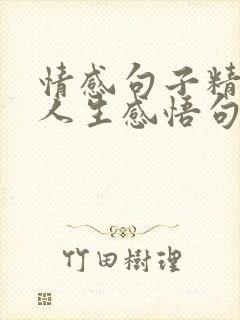 情感句子精辟的人生感悟句子