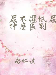 尿不湿纸尿裤有什么区别