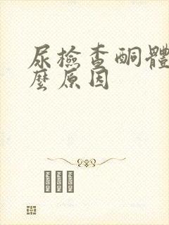 尿检查酮体高什么原因