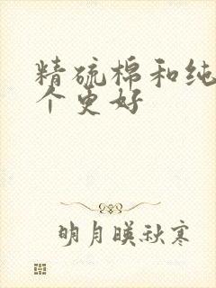 精硫棉和纯棉哪个更好