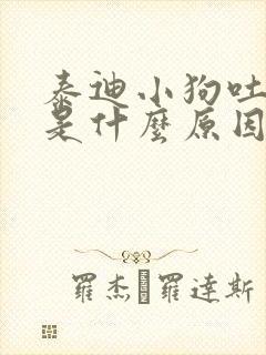 泰迪小狗吐黄水是什么原因