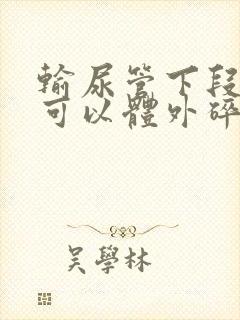 输尿管下段结石可以体外碎石能排出来吗