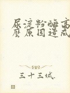 尿淀粉酶高是什么原因造成的