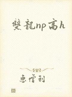 双龙np高h