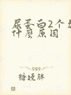 尿蛋白2个加是什么原因