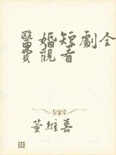 医婚短剧全集免费观看