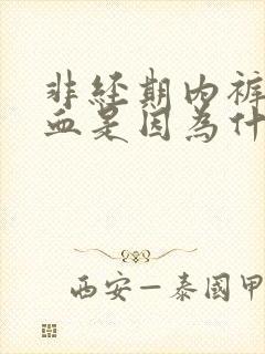 非经期内裤上有血是因为什么原因