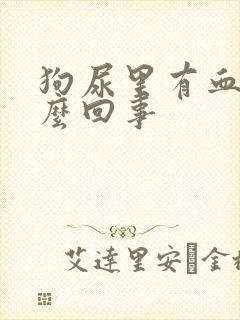 狗尿里有血是怎么回事