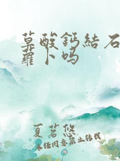 草酸钙结石能吃萝卜吗