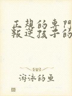 正规的专门教育叛逆孩子的学校有哪些