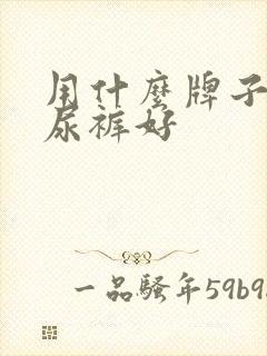 用什么牌子的纸尿裤好