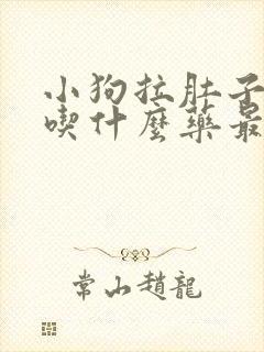 小狗拉肚子呕吐吃什么药最好