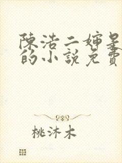 陈浩二婶是哑巴的小说免费阅读