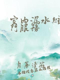 室内漏水维修上门服务