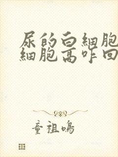 尿的白细胞和红细胞高咋回事