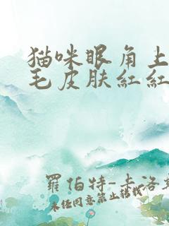 猫咪眼角上方掉毛皮肤红红的