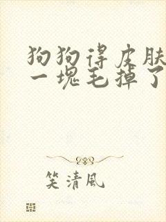 狗狗得皮肤病有一块毛掉了