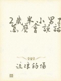 2岁半小男孩不怎么会说话怎么办