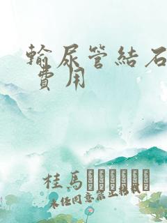 输尿管结石软镜 费用