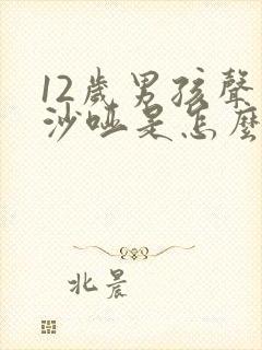 12岁男孩声音沙哑是怎么回事