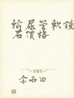 输尿管软镜取结石价格