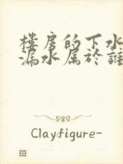 楼房的下水管道漏水属于谁的责任