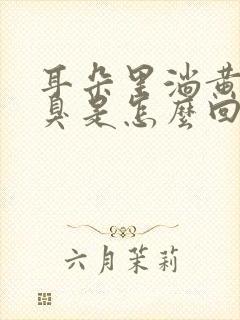 耳朵里淌黄水发臭是怎么回事