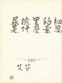 尿检里的细菌高是什么意思