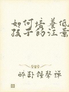 如何培养低年级孩子的注意力