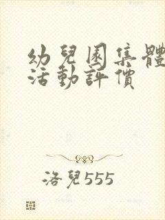 幼儿园集体教学活动评价