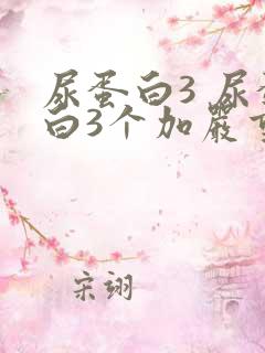 尿蛋白3 尿蛋白3个加严重吗