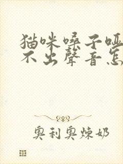 猫咪嗓子哑了叫不出声音怎么办