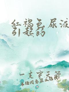 红褐色尿液原因引起的